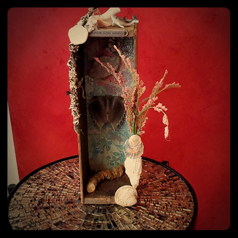 Ocean Shadow box